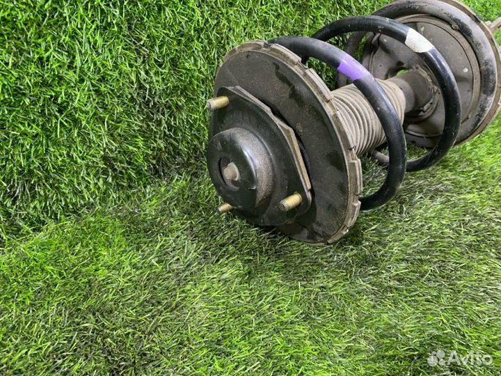 Стойка передняя правая Nissan Teana J31