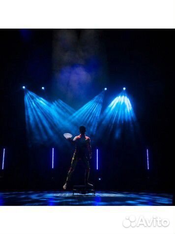 Билеты в Цирк Чудес. Король Лев