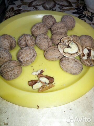 Продаю саженцы ореха