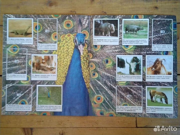 Журналы Мир животных '96, Хит-парад '97 + наклейки