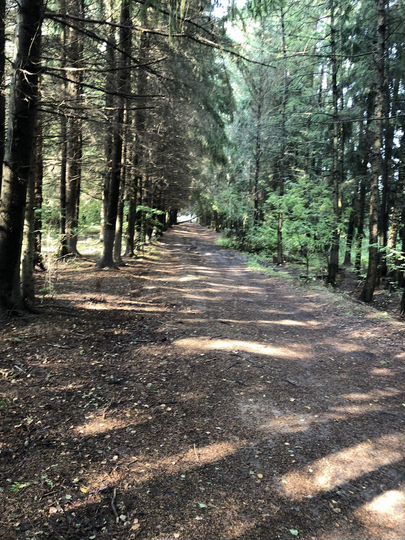 Участок 11 сот. (ИЖС)