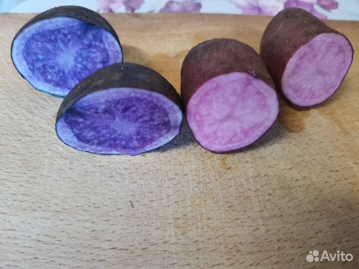 Картофель на еду и посадку сорт Сюрприз,Фиолетовый