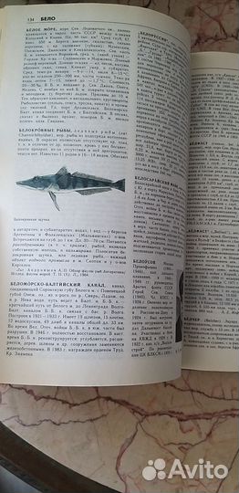 Морской энциклопедический словарь, 1991