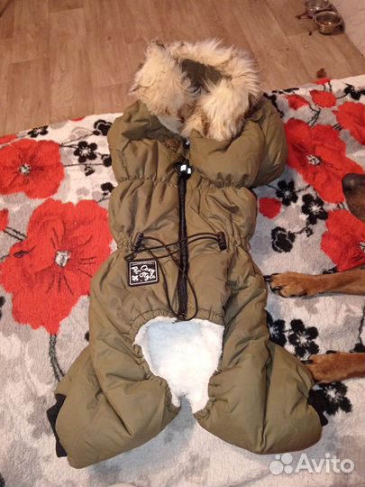 Зимний комбинезон для собаки средних пород