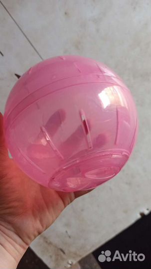 Разные товары для мелких грызунов