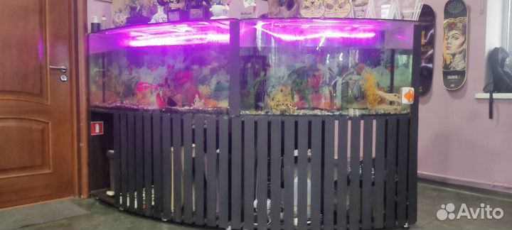 Аквариумы от 200 литров