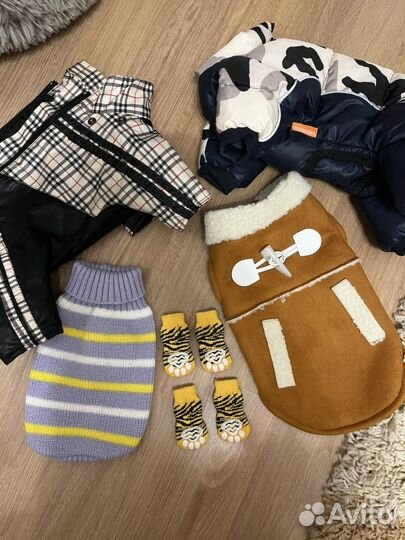 Одежда для собак