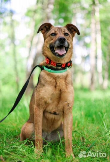 Мне трудно выжить