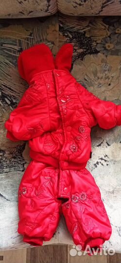 Одежда для собак