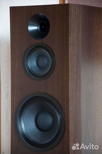 Напольная акустика Hi-End Eridan Audio Maia