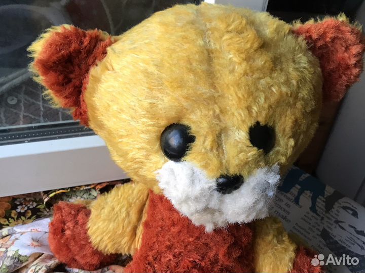 Львенок лфз