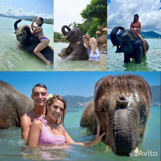 Экскурсии и информационная поддержка. Пхукет