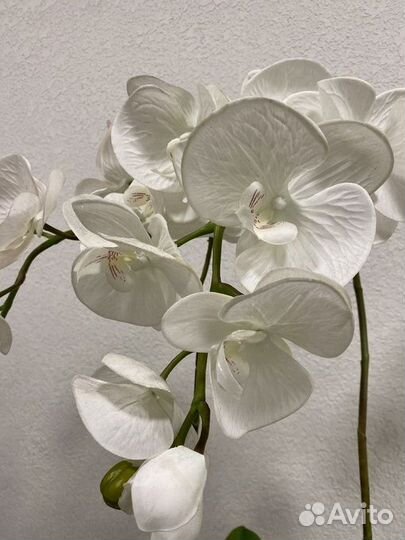 Орхидея фаленопсис искусственная а кашпо (белая)