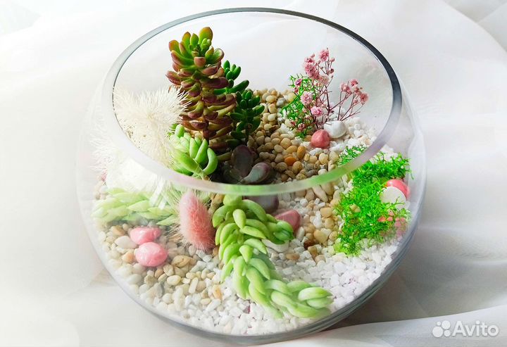 Флорариум из сукулентов 