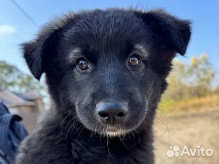 Чудо ждет семью