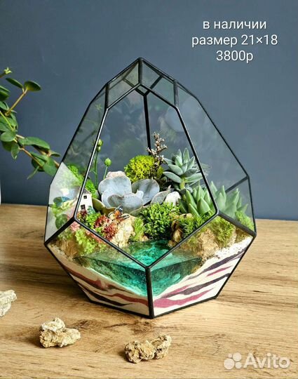 Флорариум, моссариум, подарок