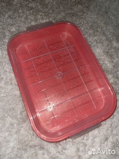 Новый лоток