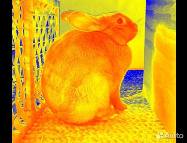 Тепловизионный прицел iray saim SCL 35W