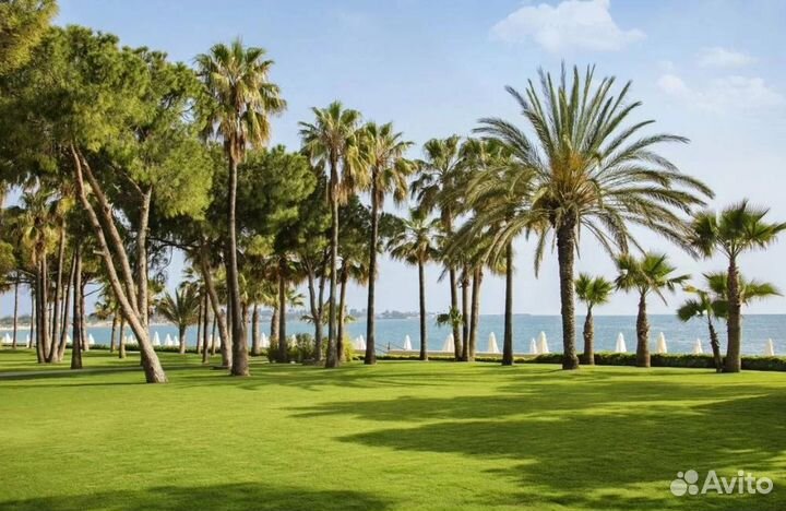 Relax-тур в г. Сиде на 5 нч