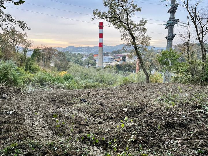 Участок 17 сот. (СНТ, ДНП)