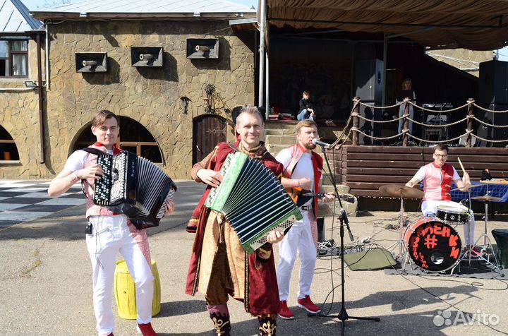 Баянист на праздник