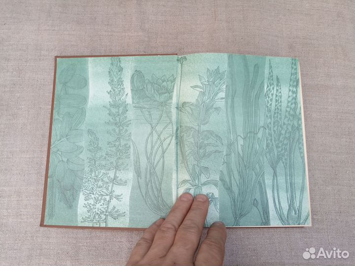 В.С. Жданов. Аквариумные растения. 1987 год