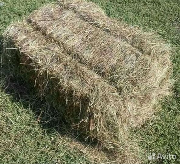 Сено в брикетах