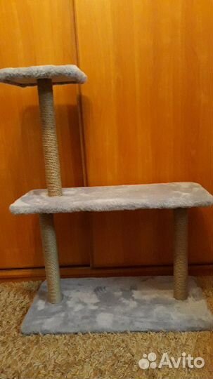 Когтеточка