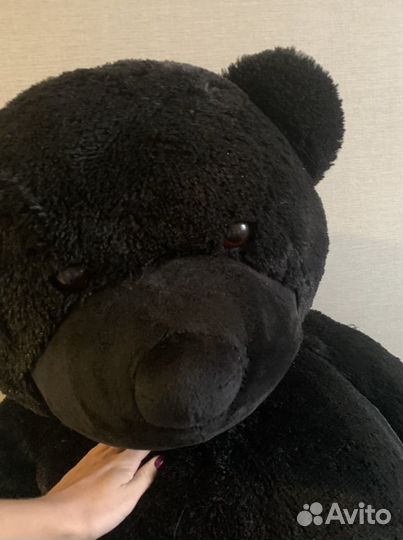 Плюшевый медведь