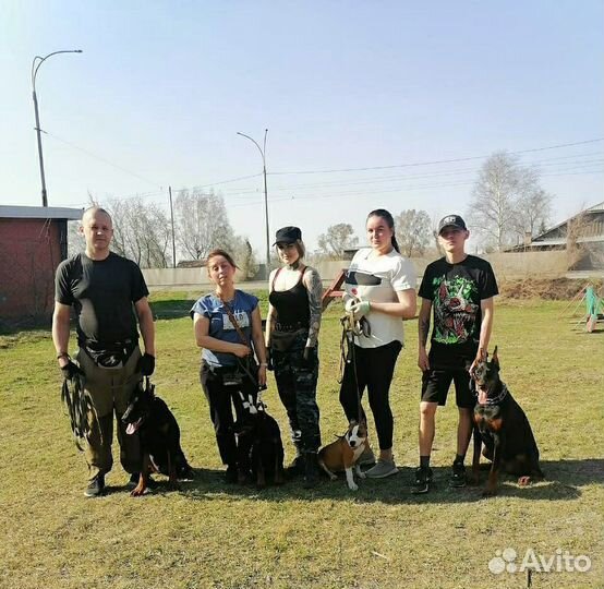 Кинолог/Хендлер