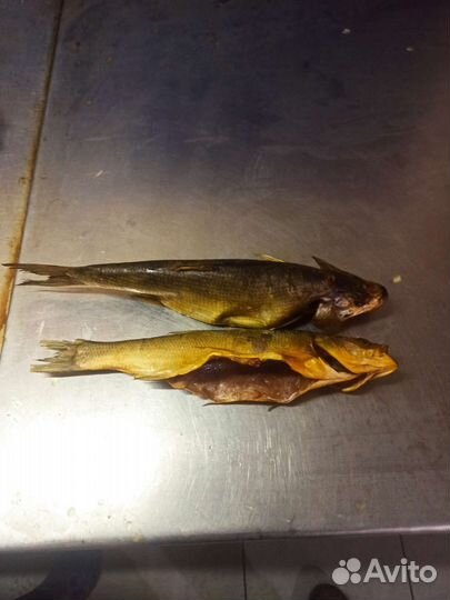 Астраханский ассортимент