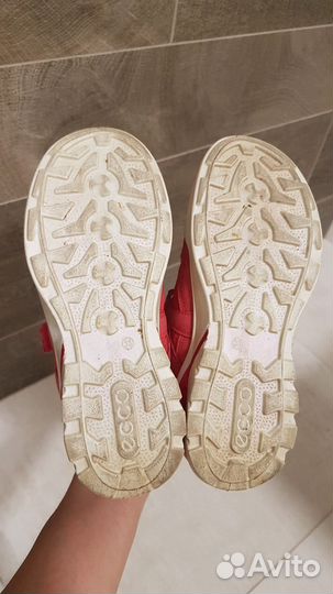 Ботинки ecco biom р.33