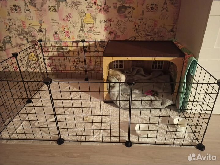 Вольер для щенков бу