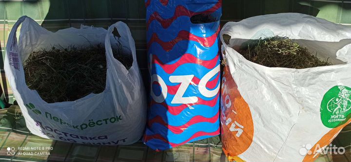 Продам сено