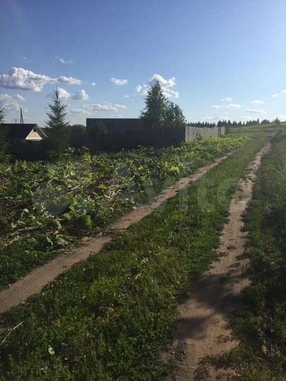 Участок 25 сот. (ИЖС)