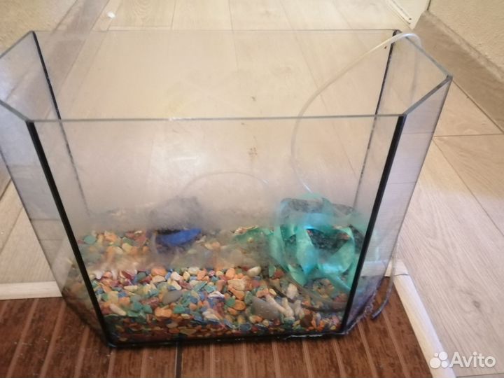 Аквариум