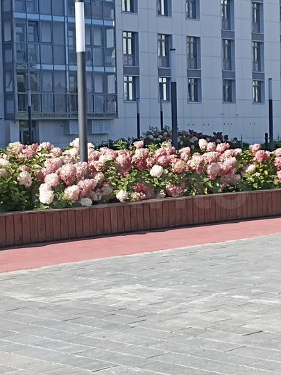 4-к. квартира, 87,5 м², 7/23 эт.