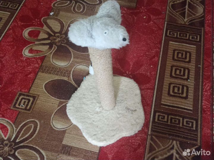 Когтеточка