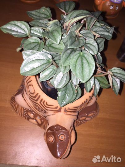 Кашпо керамика Черепашка