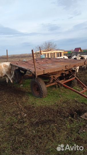 Трактор ЛТЗ Т-40, 1980