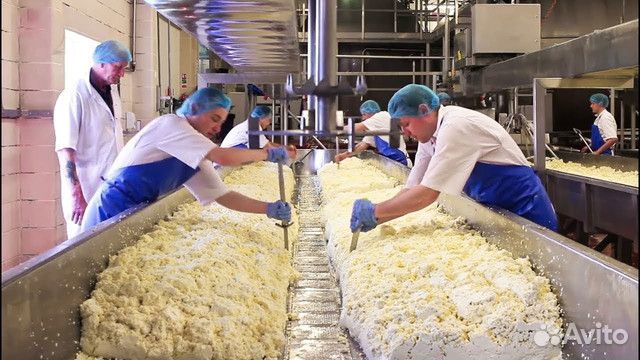 Разнорабочий на производство сыра/вахта В москве