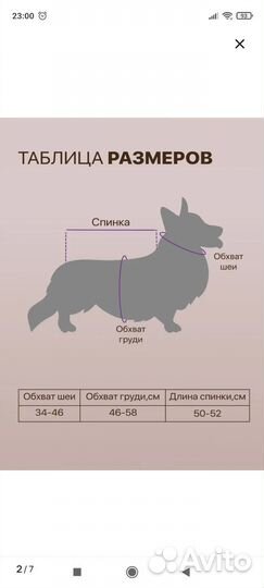 Дождевик для корги