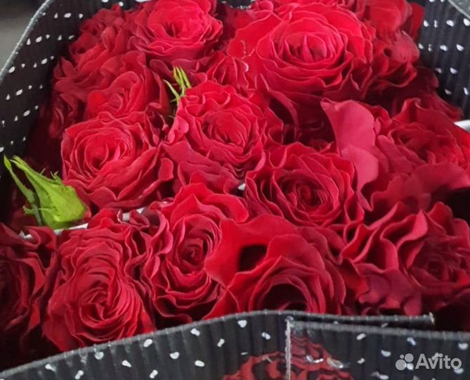 Поставка цветы оптом