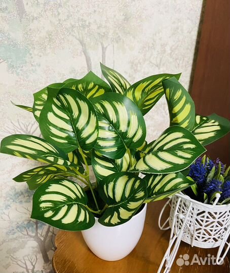 Калатея искусственный цветок декор