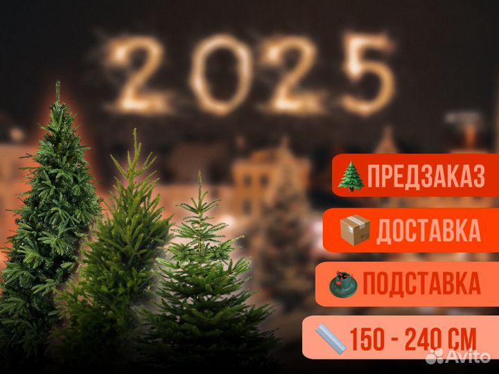 Ель и сосна живая