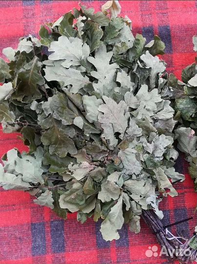 Дубовые веники для бани