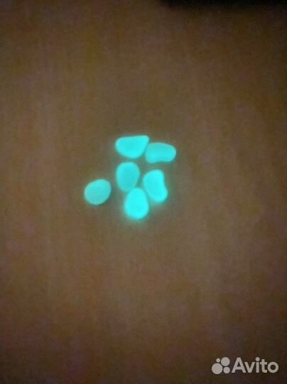 Муравьиная ферма