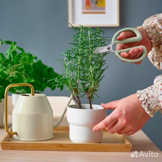 Товары икеа для ухода за растениями