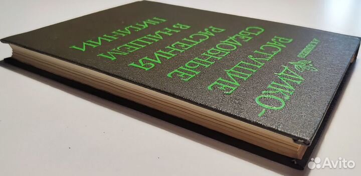 Кощеев - Дикорастущие съедобные растения (книга)