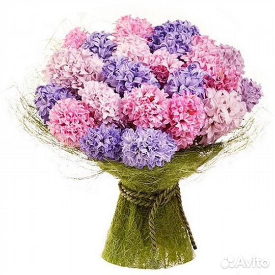 Букет Гиацинт С Доставкой